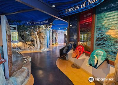 Museum of Natural History