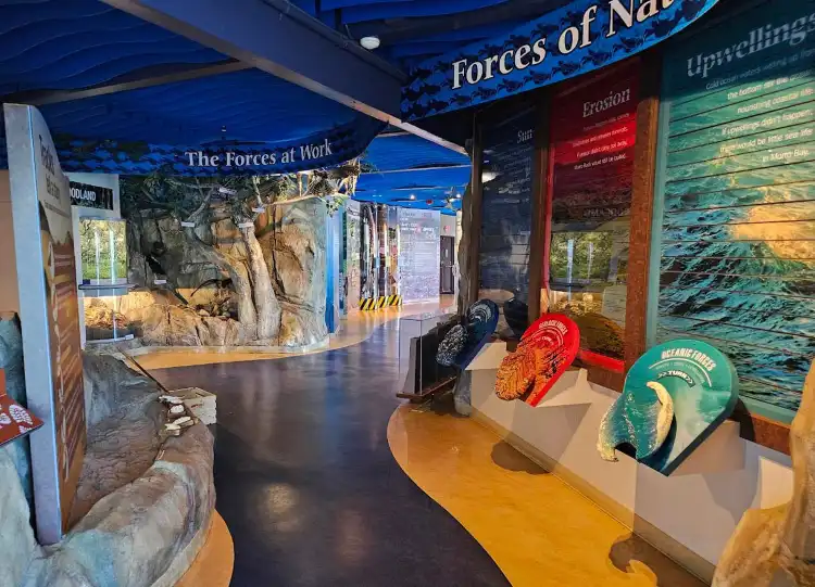 Hotels near Museum of Natural History