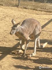 LE PARC AUSTRALIEN parc animalier intéractif