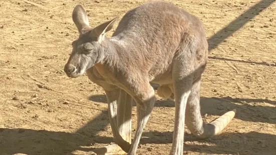 Le Parc Australien