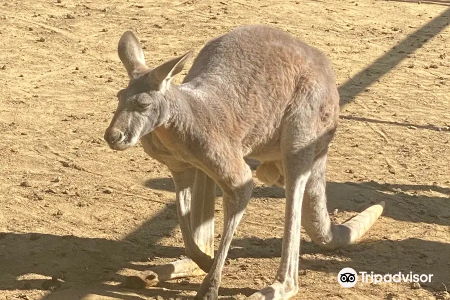 Le Parc Australien