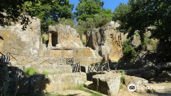Parco degli Etruschi