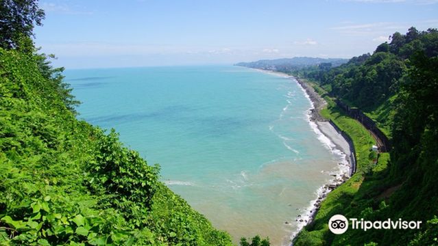 Jardin Botanique de Batoumi