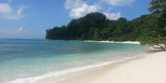 哈夫洛克島