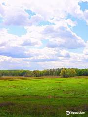 Seneca Meadows Wetlands Preserve