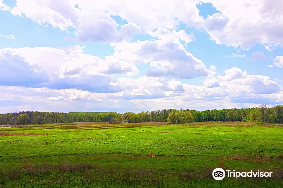 Seneca Meadows Wetlands Preserve