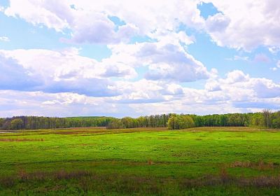 Seneca Meadows Wetlands Preserve