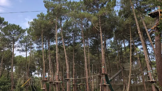 Adrenaline Parc