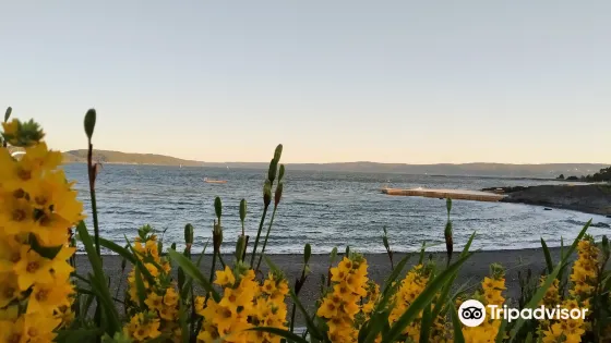 Ulvoya Island