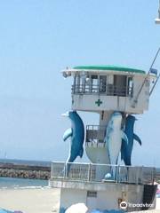 Yamami Dolphin Beach