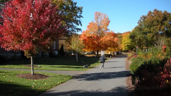 Cushing Memorial Park