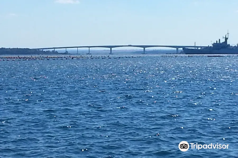 Ponte Punta Penna Pizzone