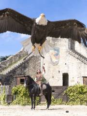 Les Aigles Des Remparts