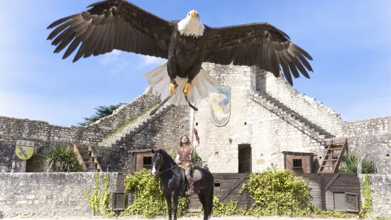 Les Aigles Des Remparts