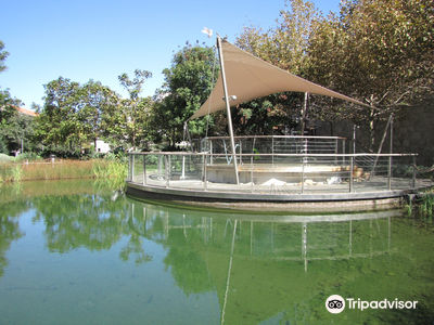 Commonwealth Park
