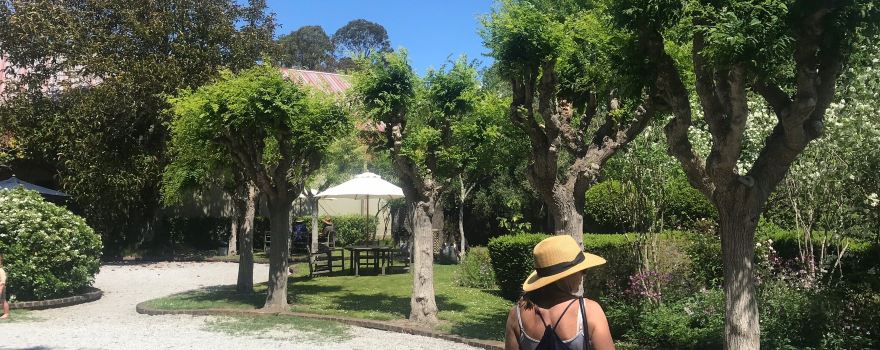 Millton Vineyards & Winery
