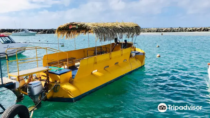 1_Raro Reef Sub