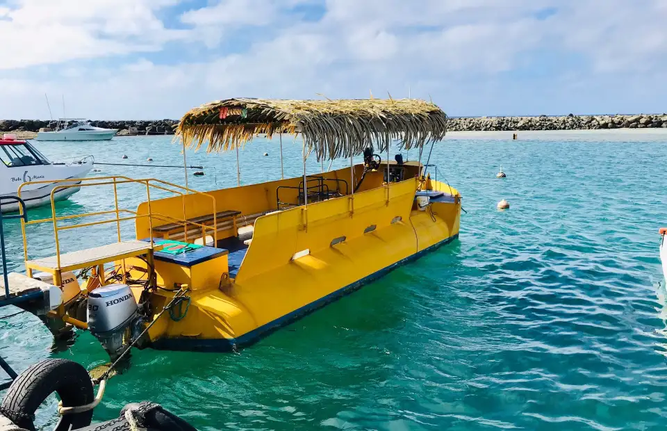 1_Raro Reef Sub