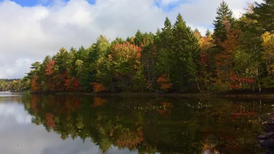 Fancy Lake Provincial Park