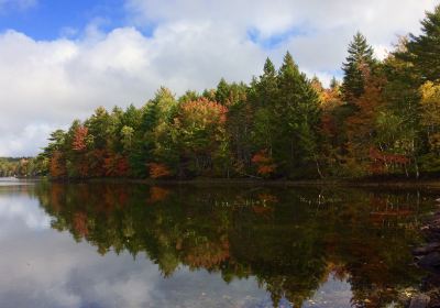 Fancy Lake Provincial Park