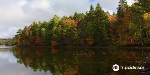 Fancy Lake Provincial Park