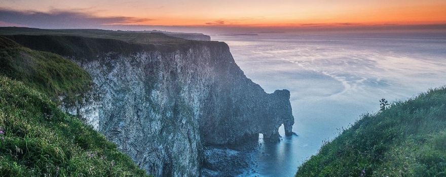 RSPB Bempton Cliffs