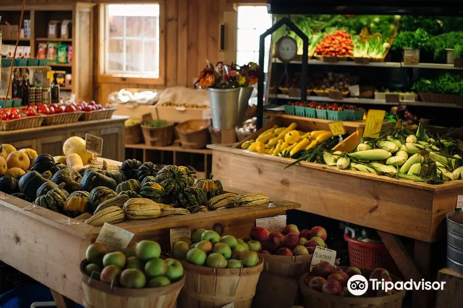 Cedar Circle Farm & Education Center