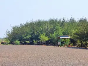 Pantai Cemara