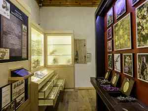 Rodanthi Museum