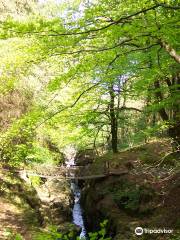 Hafod Uchtryd