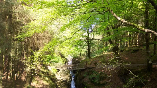 Hafod Uchtryd