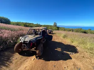 Maui Off-Road Adventures