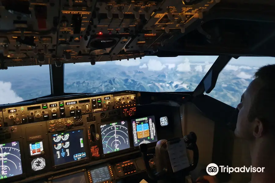 Virtual Flight Experience