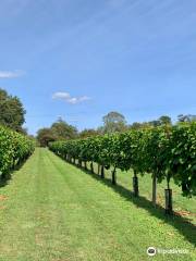 Shawsgate Vineyard