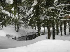 Osceola Tug Hill Cross Country Ski Center