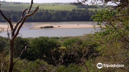 Harold Johnson Nature Reserve