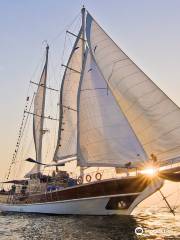 Prince of Sea Sailing Motor Yacht