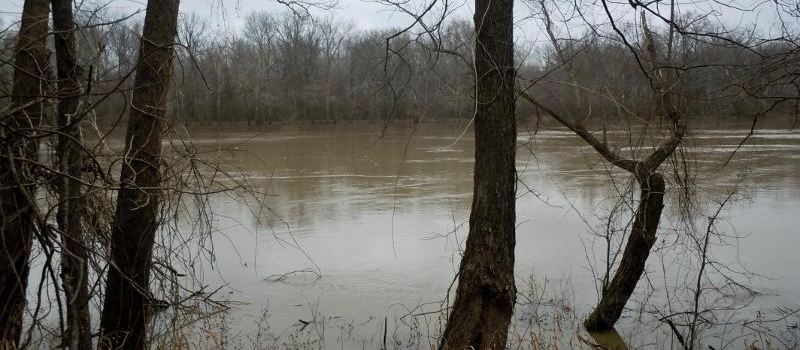 White River National Wildlife Refuge