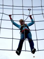 Wired High Ropes Challenge