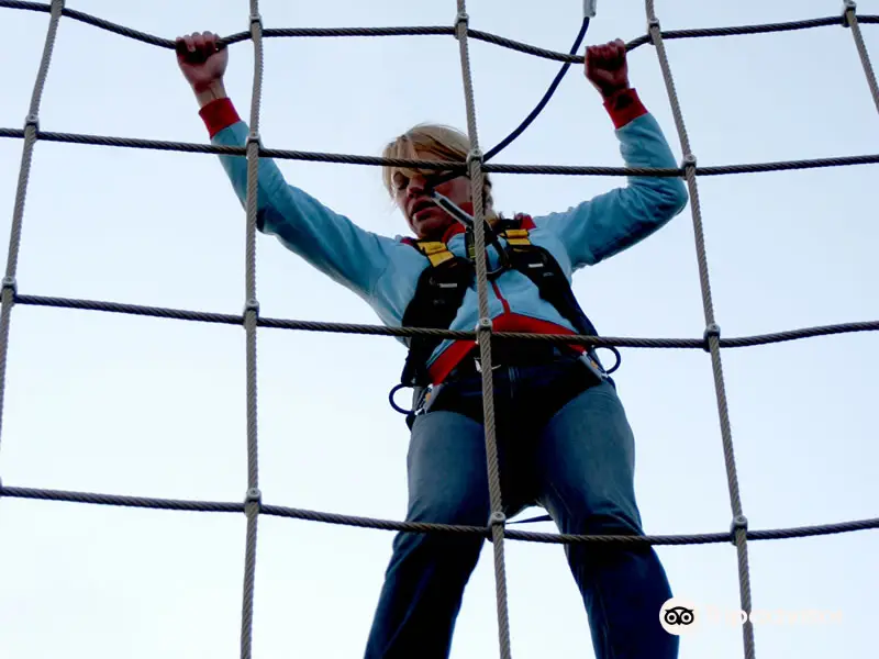 Wired High Ropes Challenge