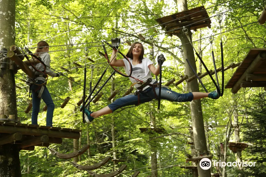 Parc Aventure Chaumont