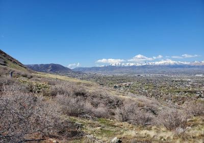 Orson Smith Park