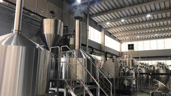 Cervejaria Startup Brewing