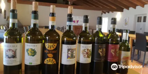 Azienda Agricola Malvirà