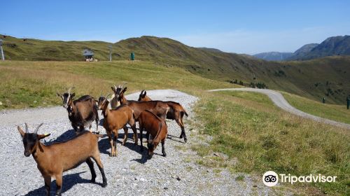 Jodelwanderweg