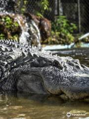 Calusa Nature Center & Planetarium