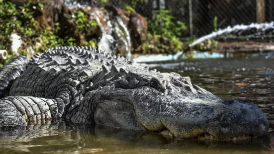 Calusa Nature Center & Planetarium