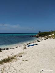 Boca Catalina Beach