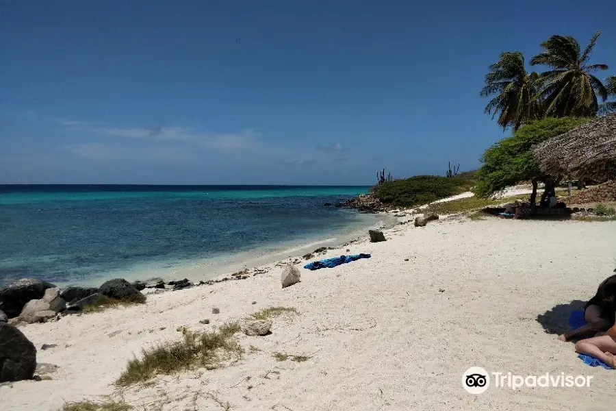 Boca Catalina Beach