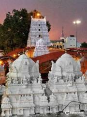 Sri Raja Rajeshwara Swamy temple